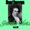 Beethoven Grandes Obras Vol.VII专辑