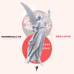 303 Love (Instrumental Mix)