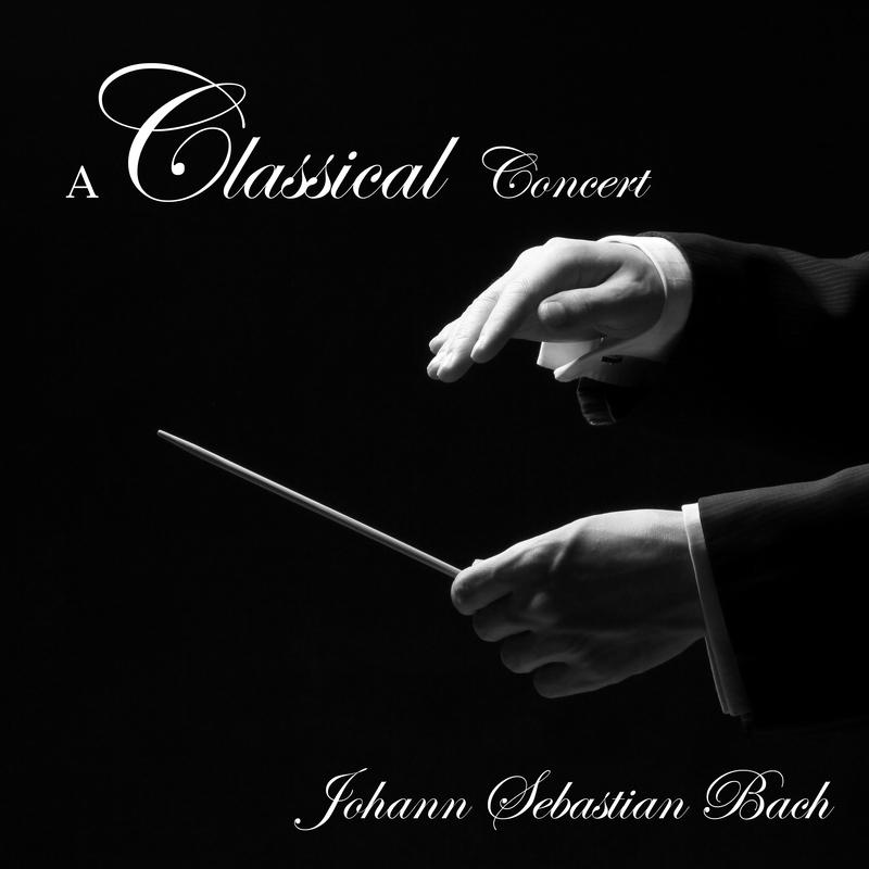 Sonata No. 4 In E Minor, BWV 528:3. Un poco allegro