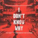 I Don't Know Why (Danny Avila Remix)专辑