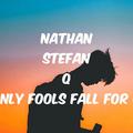 Nathan Stefan Q