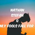 Nathan Stefan Q