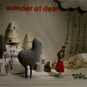 wonder of dear专辑