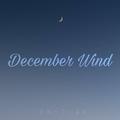 December wind