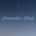 December wind专辑