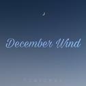 December wind专辑