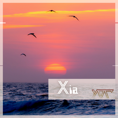 Xia(夏)