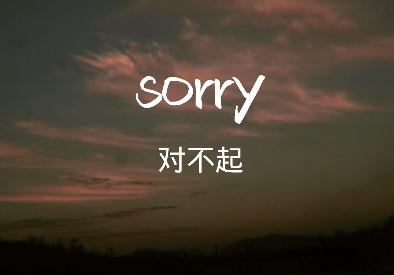 sorry专辑