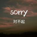 sorry专辑