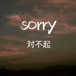 sorry专辑