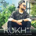 Rukh (Remix) - Single