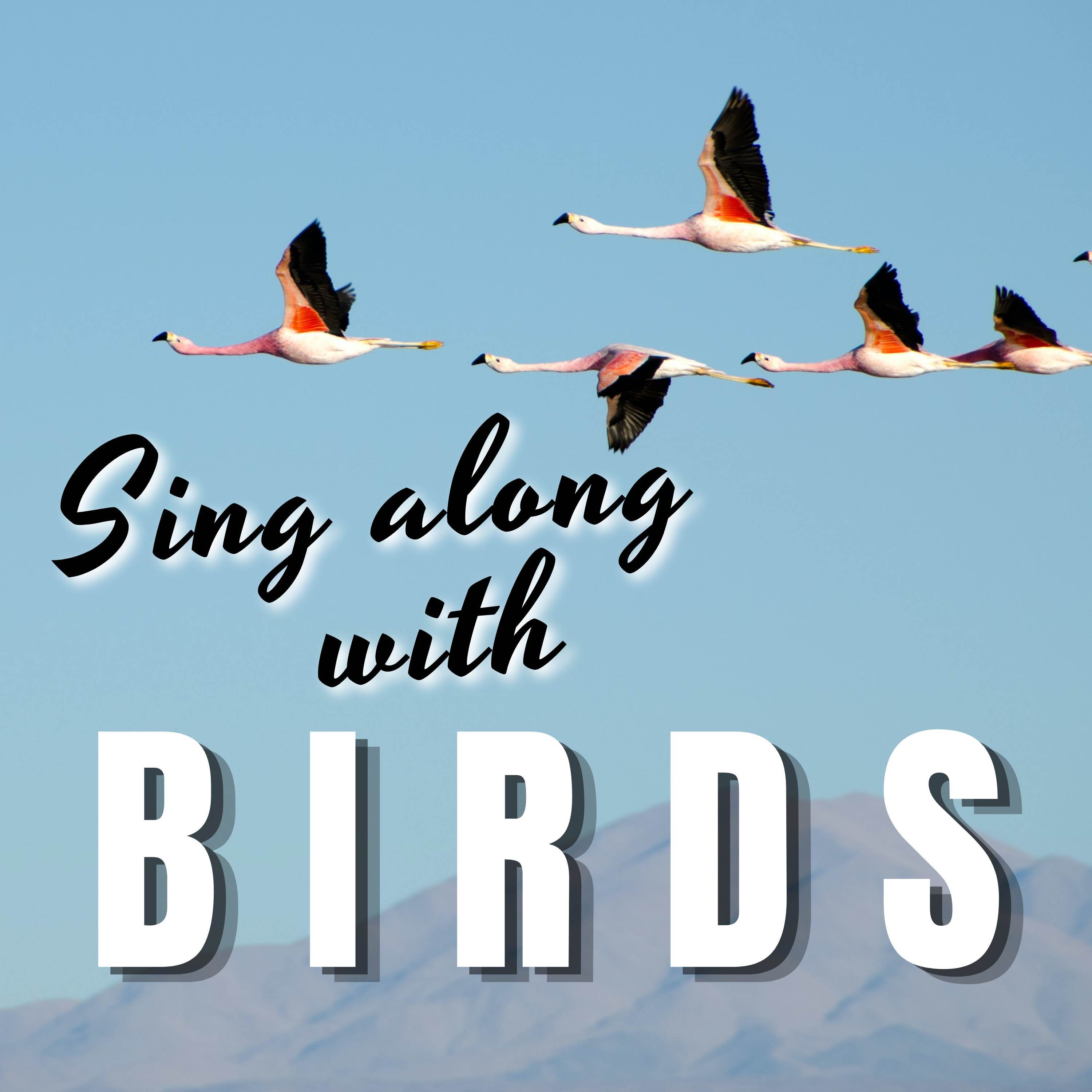 Sing along with Birds