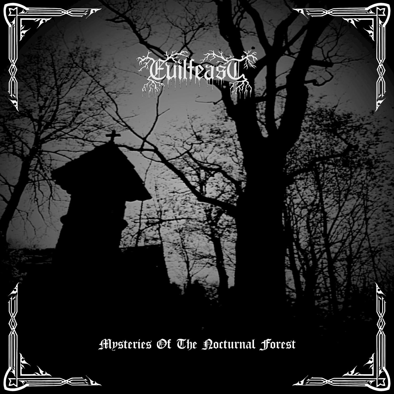 Mysteries of the Nocturnal Forest