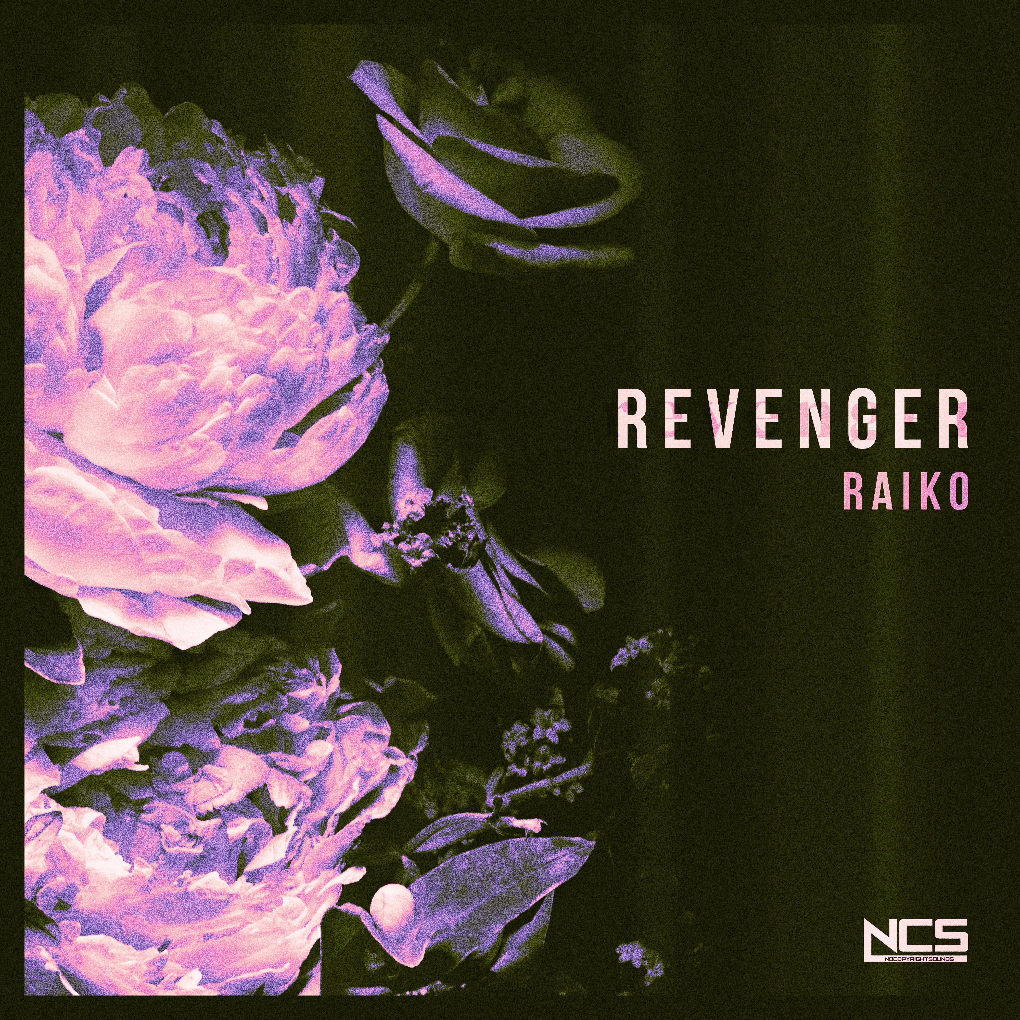 Raiko - Revenger