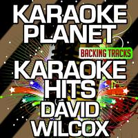 Bad Reputation - David Wilcox (karaoke)