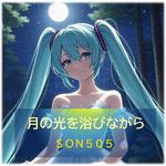 月の光を浴びながら专辑