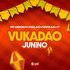 DJ P7 - Vukadão Junino