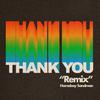 Homeboy Sandman - Thank You (Remix)