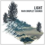 #10 Light Rain Droplet Sounds专辑