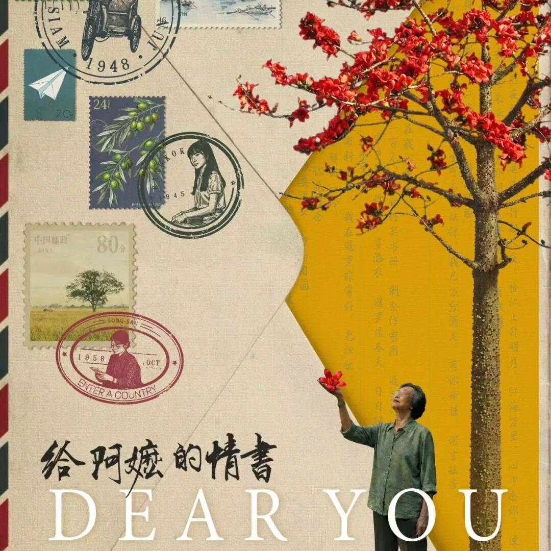 素人主演，潮汕方言电影《给阿嬷的情书》出圈，无数观众泪眼婆娑，甘为“自来水” 20260512 episode artwork