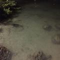 High Tide