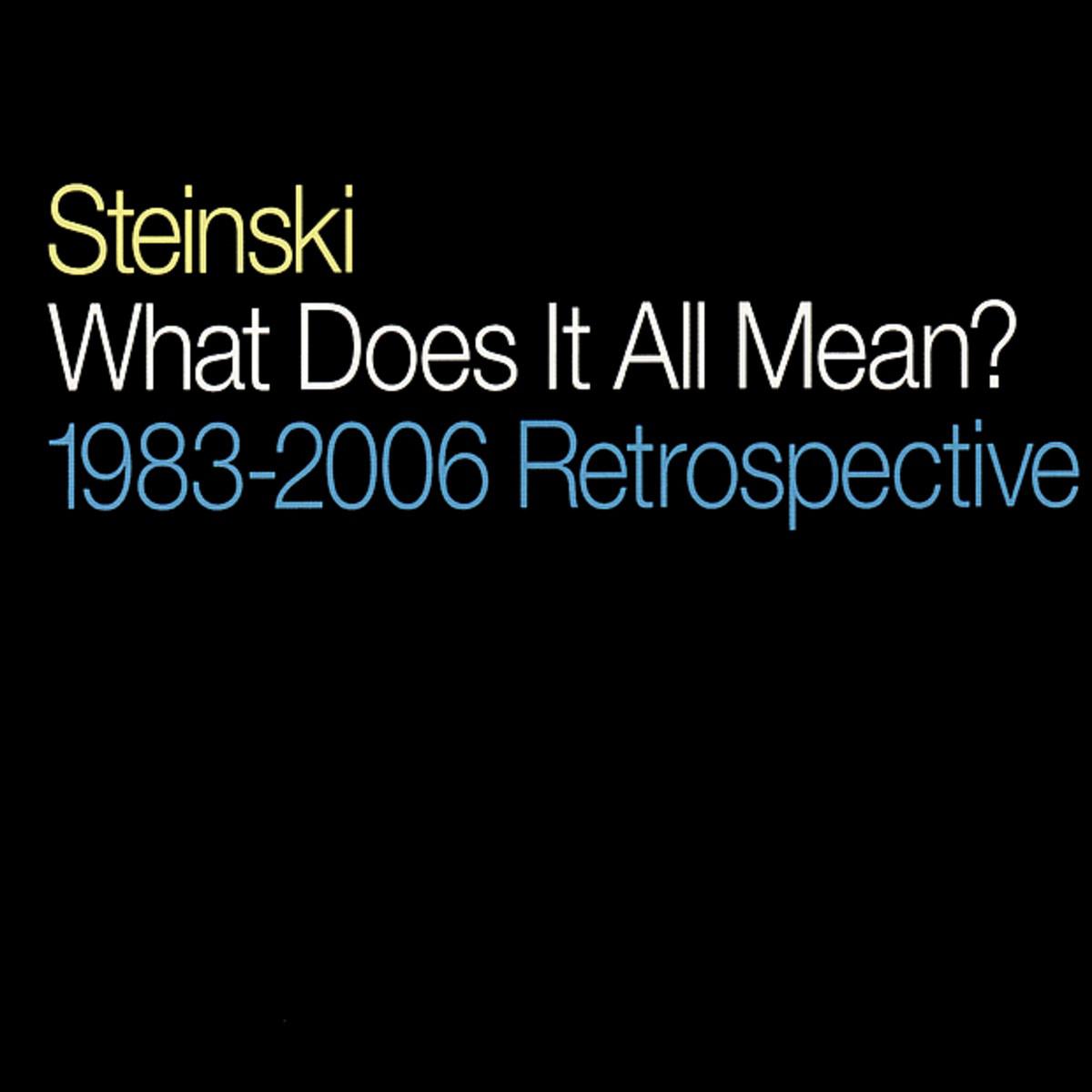 What Does It All Mean? - 1983-2006 Retrospective专辑