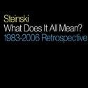 What Does It All Mean? - 1983-2006 Retrospective专辑