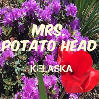 Mrs. Potato Head（带和声)