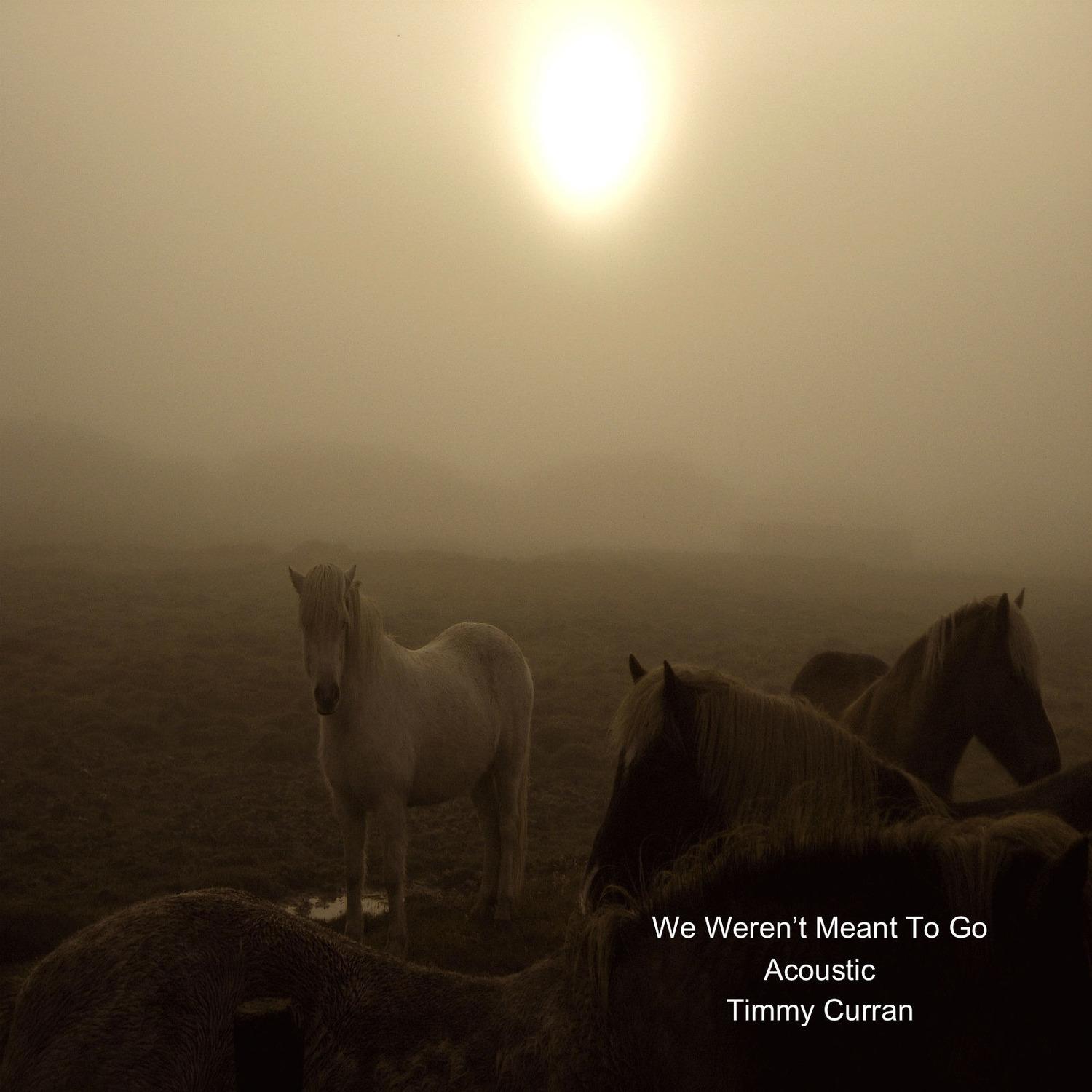 We Weren't Meant to Go (Acoustic)