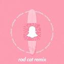 snapchat (Rad Cat Remix)专辑