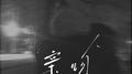 亲吻专辑