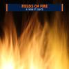 Fire Indulgence 3D Nature Music - Holistic Mountain