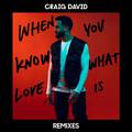 When You Know What Love Is (Remixes)