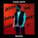 When You Know What Love Is (Remixes)