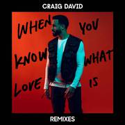 When You Know What Love Is (Remixes)
