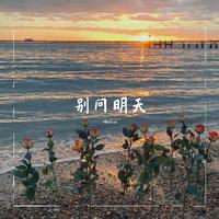 刘振宇 - 对你想说的话(伴奏).mp3