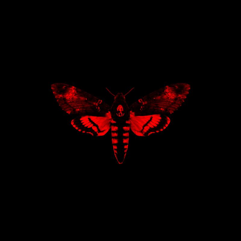 I Am Not A Human Being II