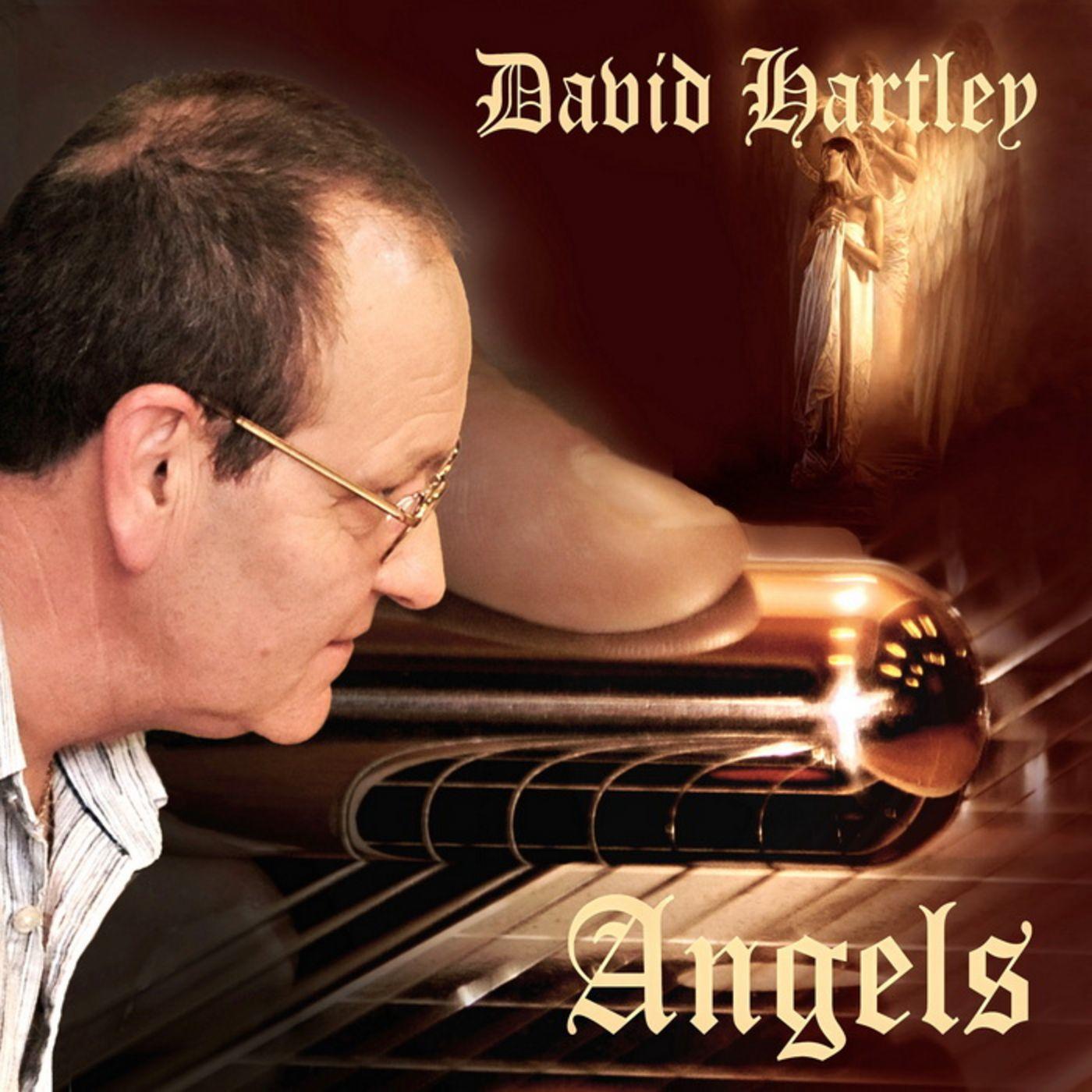 David Hartley - Every Little Thing