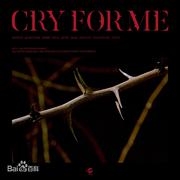 Cry for me（翻自 TWICE）