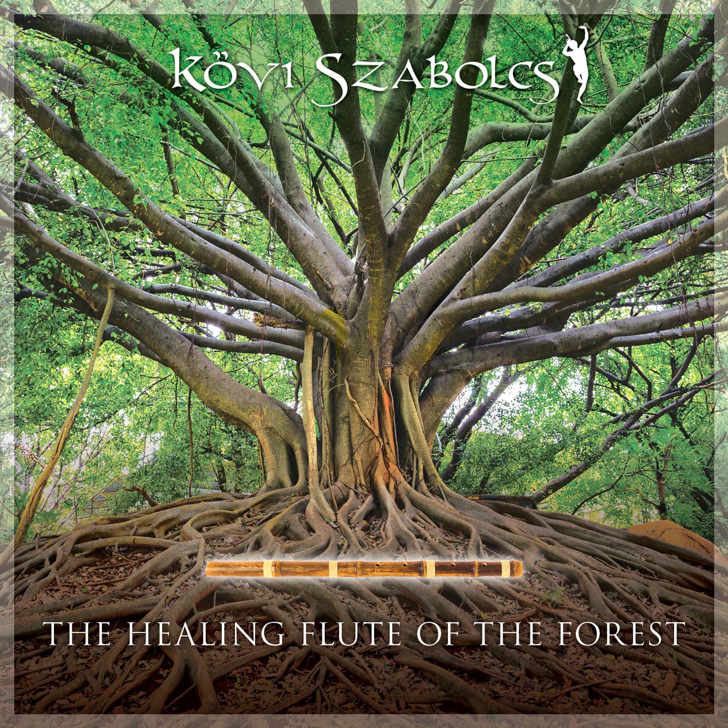 The healing flute of the forest