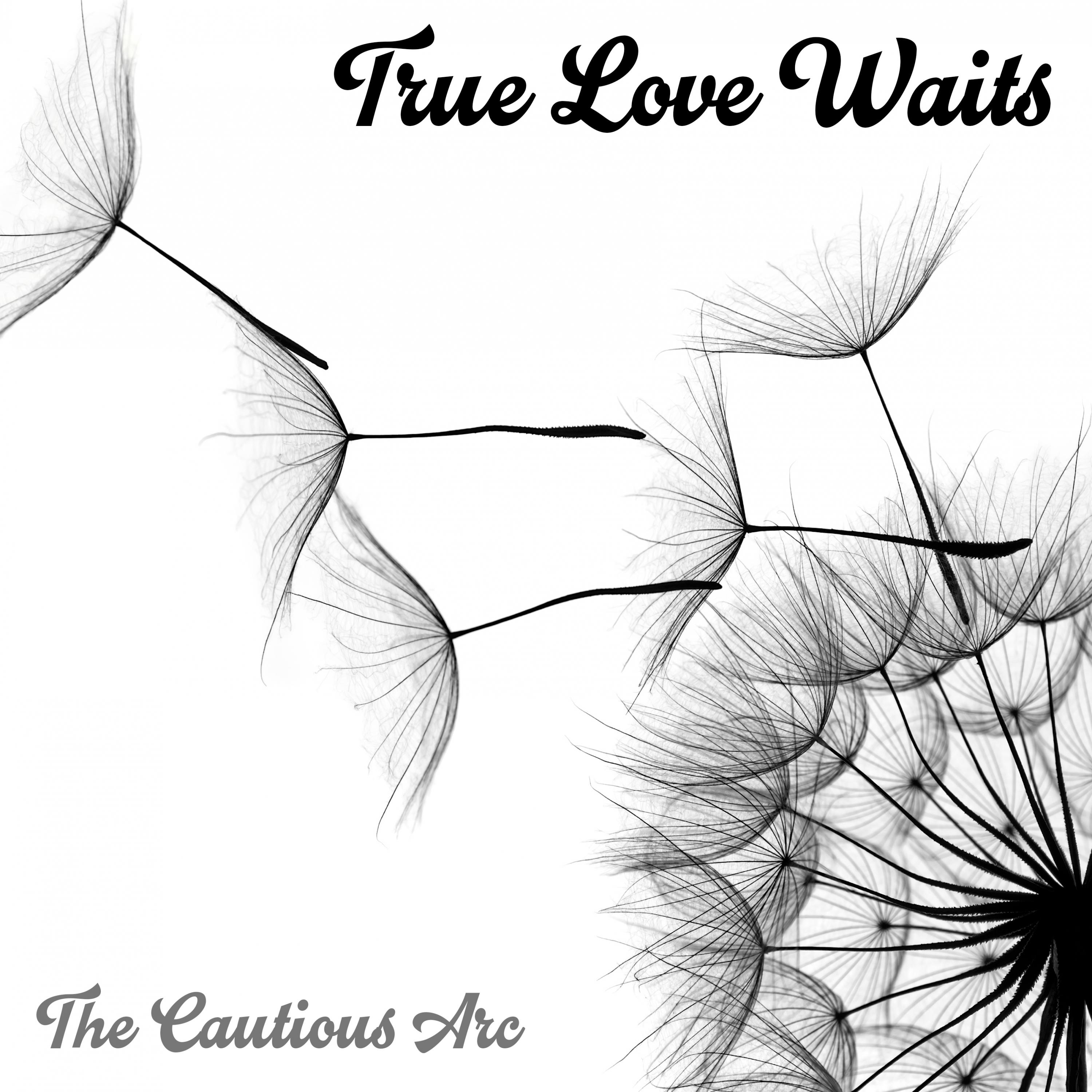 True Love Waits