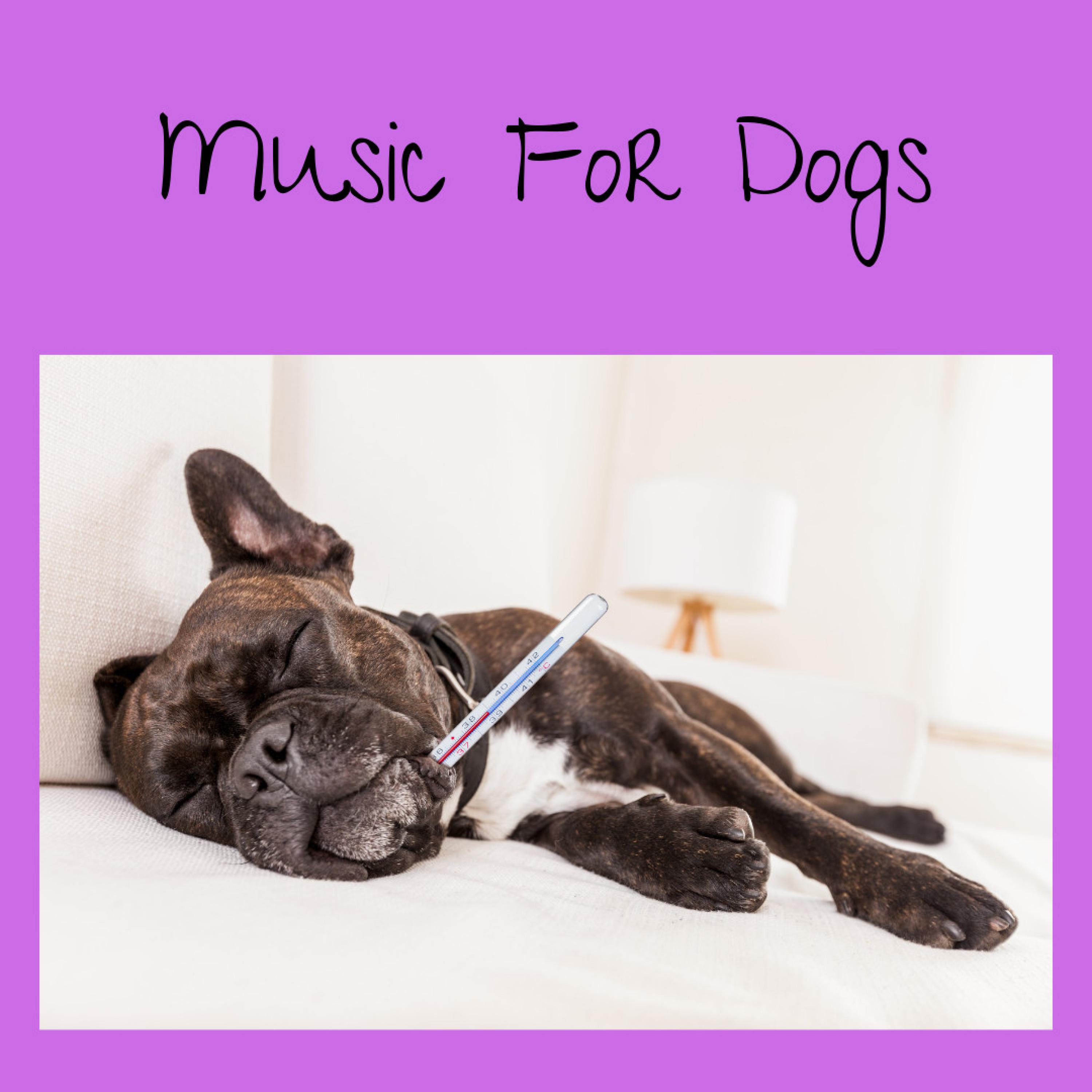 Dog Harmony - Music For Dogs/Music For Dogs Peace/Relaxing Puppy Music ...