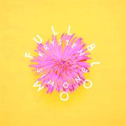 Full Bloom