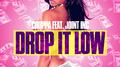 Drop It Low (feat. Joint Inc)专辑