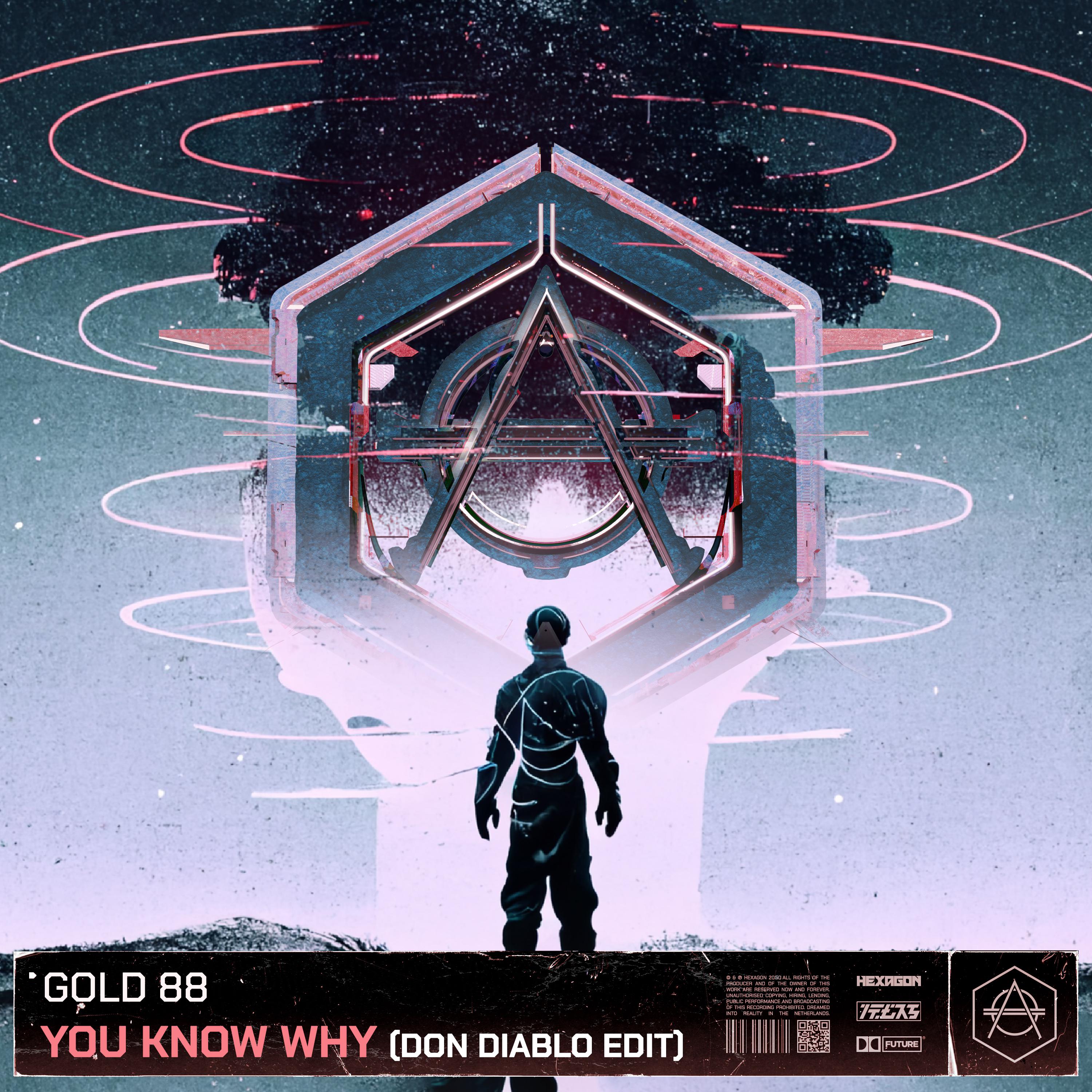 You Know Why (Don Diablo Edit)专辑