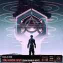 You Know Why (Don Diablo Edit)专辑