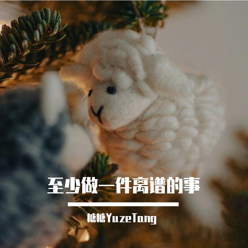 至少做一件离谱的事 (Cover Kiri T)