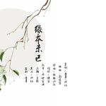 缘本未已专辑