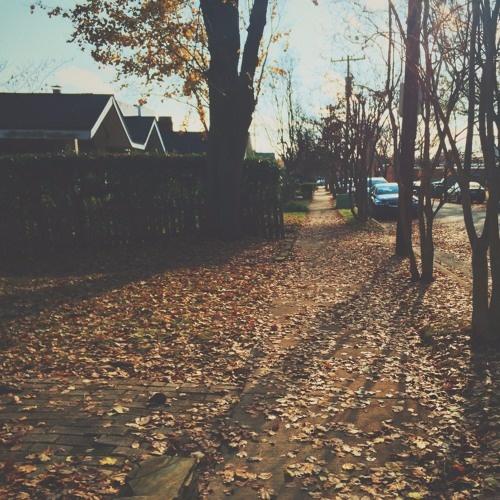 safekeep (Prod.NIMBUS2K)