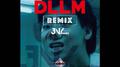 DLLM Remix专辑